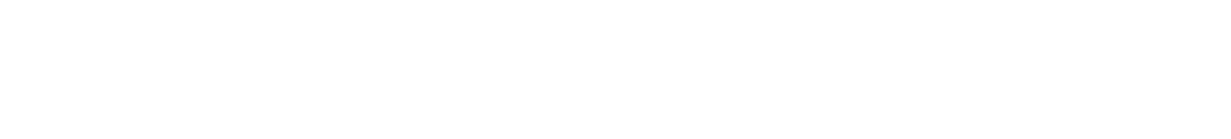 Nishizawa Internatinal Law Office